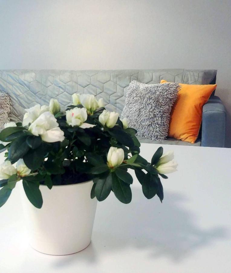 Apartament Bel Mare Wyspa, parking gratis Miedzyzdroje Exteriör bild
